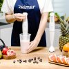 Zelmer ZHB4560I