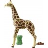 Playmobil® Wiltopia žirafa 71048; 71048