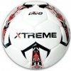 Futbalová lopta Salta Xtreme