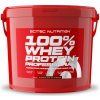 Scitec 100% Whey Protein Professional 5000 g