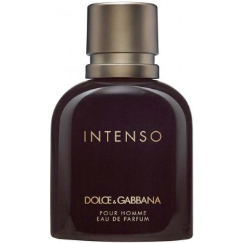 Dolce & Gabbana Intenso parfumovaná voda pánska 75 ml