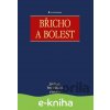 Břicho a bolest - Jiří Hoch, Urbánek Petr a kolektiv