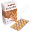 Salutem Pharma LepokFit 30 tabliet