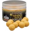 STARBAITS Pro Ginger & Squid Pop Up priemer 16 mm