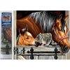 Norimpex Diamantové maľovanie Kone s mačkou 30 x 40 cm