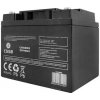 Baterie olověná 12V 40Ah LTC BATE-19834 (04250625)