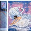 Norimpex Diamantové maľovanie Labutie jazero 30 x 40 cm