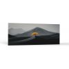 Stromy Strom v pustatine | Obrazy Vintessia Rozmery: 20x50