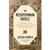 The Mesopotamian Riddle