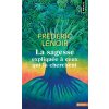 La Sagesse expliquée à ceux qui la cherchent