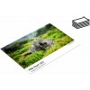 Fotopapier FOMEI PRO Pearl 265 A3 (29.7 x 42cm)/50 (EY5251)