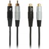 Bespeco EA2X300