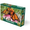 3D puzzle Motýle 100 dielikov