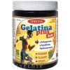 TEREZIA Gelatina Plus želé 1x120 ks