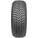 Taurus Winter 601 215/40 R17 87V