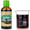Lotos klíčky semien kvapky (tinktúra) 50 ml