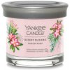 Yankee Candle DESERT BLOOMS signature tumbler 125 g