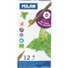 Pastelky MILAN 12 ks METAL box