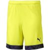 Puma cup kids