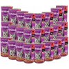 Mokré krmivo Whiskas Adult Hovädzie mäso v omáčke 400 g 24 plechoviek