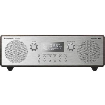 Panasonic RF-D100BTEGT