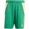 Adidas Tiro 24 M IT2414 shorts (191344) Black M