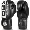 BUSHIDO Boxerské rukavice DBX B-2v20