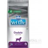 Farmina Vet Life dog Oxalate 2 kg