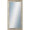 DANTIK - Zrkadlo v rámu, rozmer s rámom 60x120 cm z lišty TOOTH strieborná (2779)