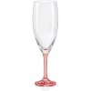 Crystalex poháre na šampanské Magnolia 210 ml 6 KS