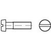TOOLCRAFT TO-6852942 skrutky s valcovou hlavou M6 10 mm drážka DIN 84 Ušlechtilá ocel V2A A2 100 ks; TO-6852942