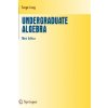 Undergraduate Algebra