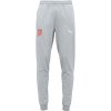 Pánske tréningové legíny Puma, TEAMGOAL 23 CASUALS PANTS Sivá,Červená,Biela S