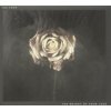 Editors - Weight Of Your Love / 2CD / Digipack [2 CD]
