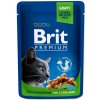 Brit Premium (VAFO Praha s.r.o.) Brit Premium Cat Pouches Chicken Slices for Sterilised 100 g