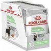 Royal Canin kapsička CCN digestive multipack 12x85g