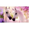 Diamantové maľovanie – zamilované kone 30x40 cm NORIMPEX