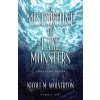 A Misfortune of Lake Monsters (Large Print Edition) - Nicole M. Wolverton