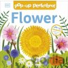 Pop-Up Peekaboo! Flower - DK