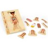 Bigjigs Toys Drevené puzzle Anatómia dievča