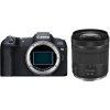 Canon EOS R8 + RF 24-105 mm f/4-7.1 IS STM