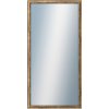 DANTIK - Zrkadlo v rámu, rozmer s rámom 50x100 cm z lišty TRITON zlatá (2142)