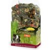 Grainless Mix pre morča 650g JR Farm