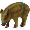 Collecta prasa divoké prasiatko CO88366