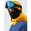 Unisex 4F ski helmet Other L/XL(58-61CM) 4F 5905700171089