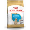 ROYAL CANIN BREED Labrador Puppy 3kg