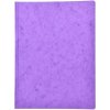 Papierová odkladacia mapa 253, A4, typ Prešpán, 300g/m2, 3 klopy, fialová