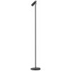 IMMAX LED podlahová lampa TIT/ 6W/ DC 12V/0,5A/ 100-240 VAC/ 400lm/ CCT/ černá se zlatými prvky