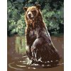 ZUTY Maľovanie podľa čísel - MEDVEĎ VO VODE (D. RUSTY RUST) Rámovanie: vypnuté plátno na rám, Rozmer: 80x100 cm