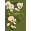 Frankenstein (Pevná)